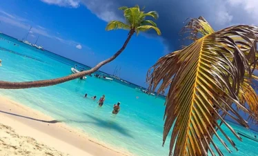 Isla Saona - Tours y Excursiones