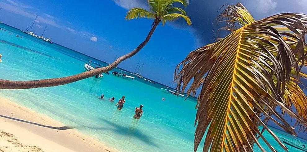 Isla Saona - Tours y Excursiones