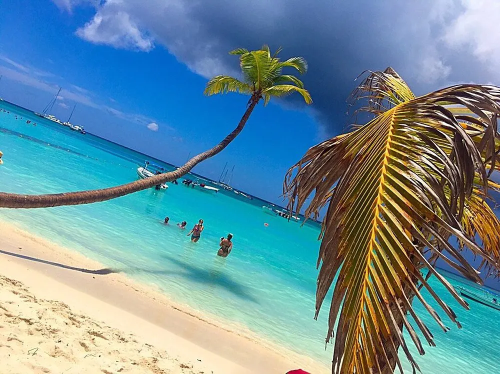 Isla Saona - Tours y Excursiones