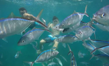 Nadando con Peces,Isla Catalina, Punta Cana